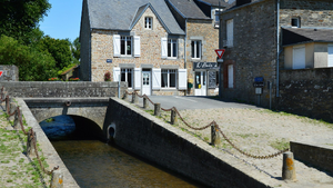Désinsectisation dératisation Sannois